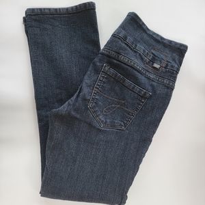 JAG Jeans 5 Pocket Highrise Straight Leg Size 8 Petite EUC